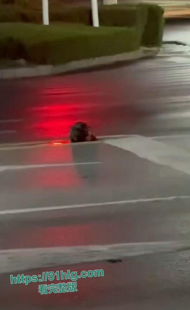 【山东诸城】繁荣路惊现死人头！伫立在马路中央周边血迹斑驳，路过行人被吓的当场昏厥，胆小勿入！