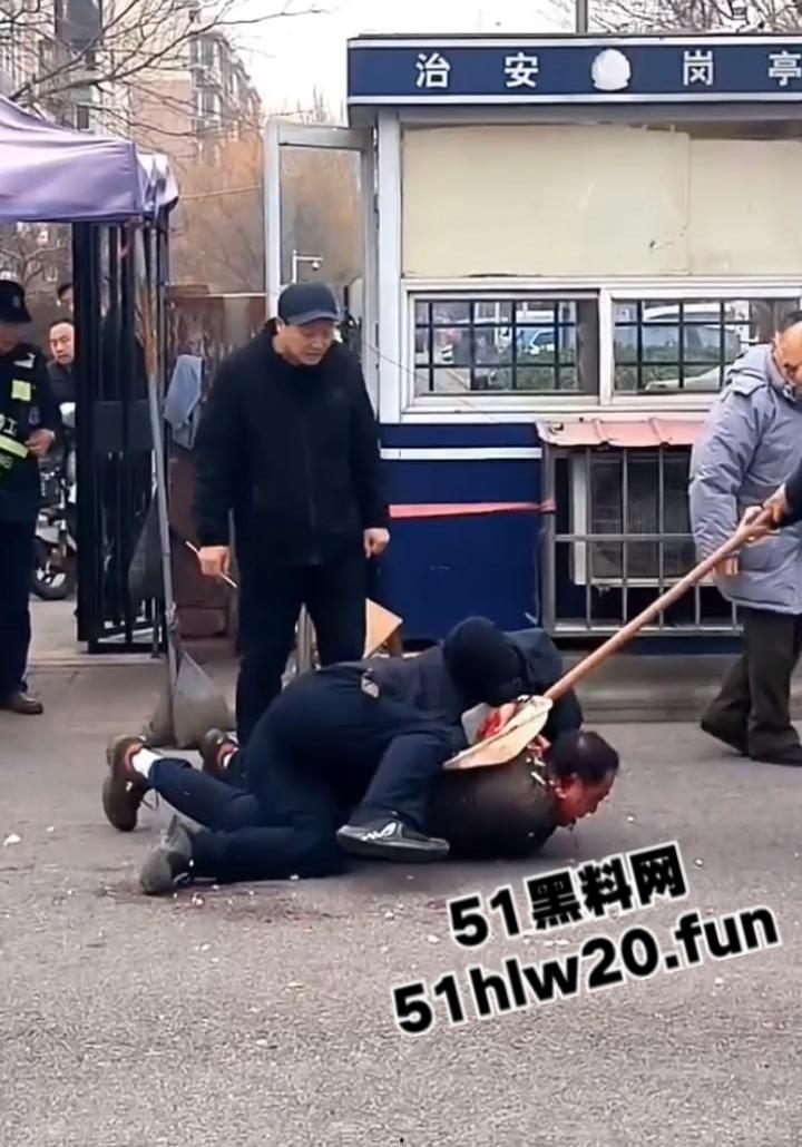 河北工业大学，博士生被逼疯回校杀导师，疑似被导师顶替研究成果，愤怒之下将其捅杀。