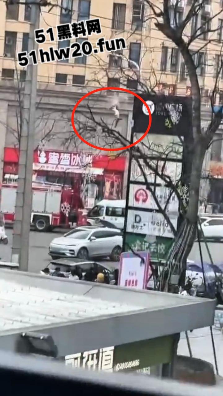 自杀跳楼实拍，辽宁十几岁女孩因谈恋爱被家人阻止，被家人囚禁在家中，女孩逃出窗外跳楼自杀。