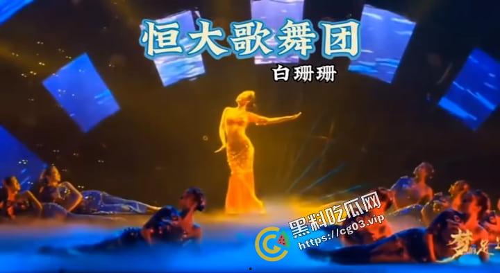 恒大歌舞团里的舞者除了专供恒大高层使用,还要拿出去进行高级公关,【白珊珊】的辩解苍白无力