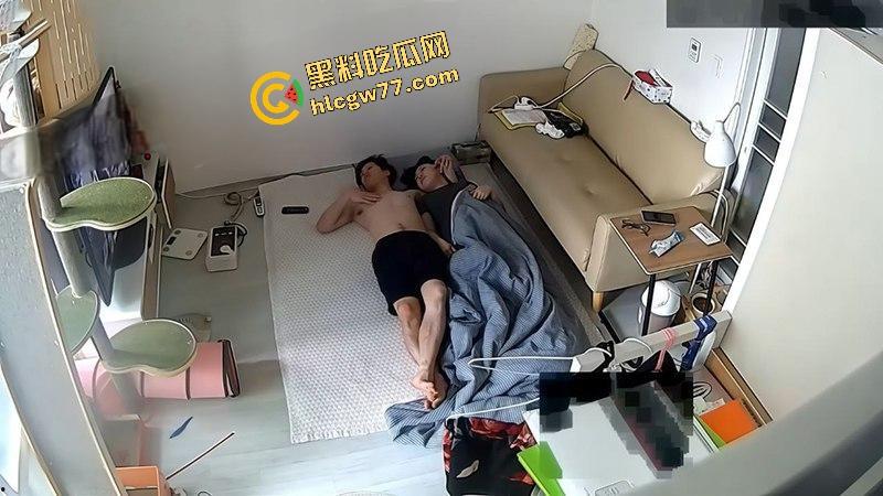 家里装了监控,意外拍到小两口的动物本能,地毯上那一套,这枸杞不白吃了!