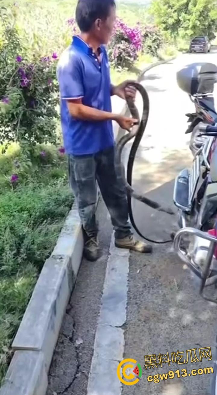 贵州男子徒手玩耍毒蛇，抽烟炫耀套脖子上到处甩，不料却是眼镜王蛇，最终被咬后两个小时死亡 !