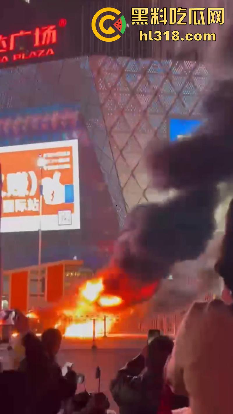 广州南村万博电车警车着火，熊熊大火迅速吞没警车，看来这电车危害，就连警车都不放过啊！