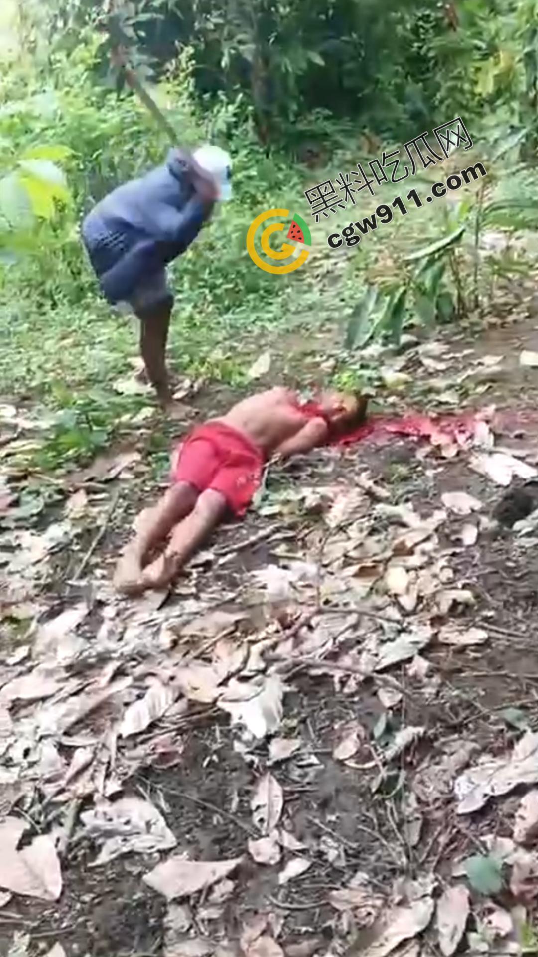 墨西哥毒枭残暴行径:年轻帮派成员遭野外肢解处决,鲜血四溅,画面极度血腥恶心,胆小者勿点