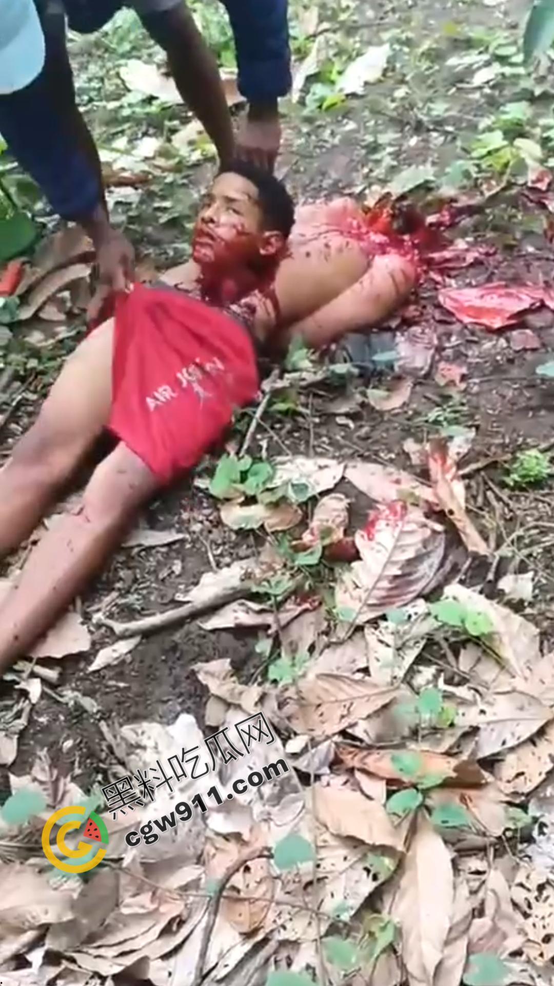 墨西哥毒枭残暴行径:年轻帮派成员遭野外肢解处决,鲜血四溅,画面极度血腥恶心,胆小者勿点