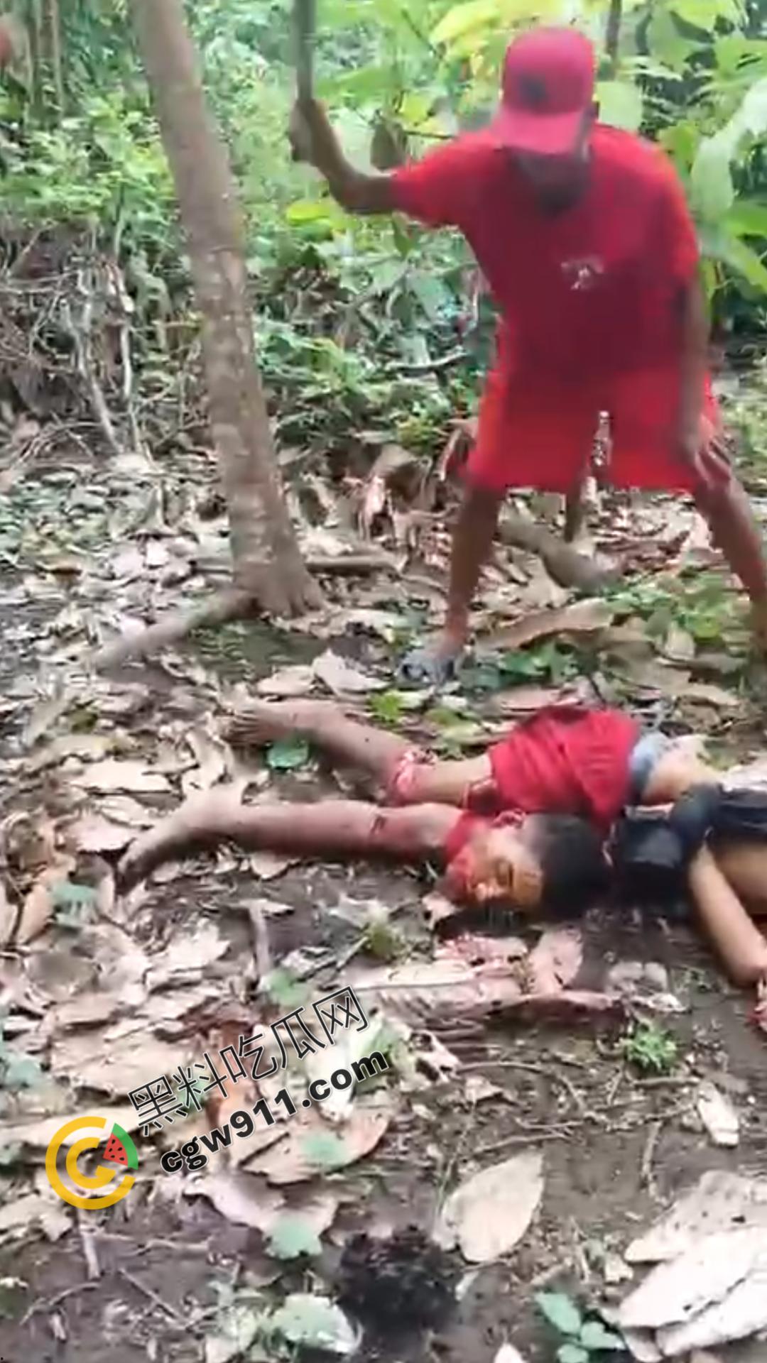 墨西哥毒枭残暴行径:年轻帮派成员遭野外肢解处决,鲜血四溅,画面极度血腥恶心,胆小者勿点