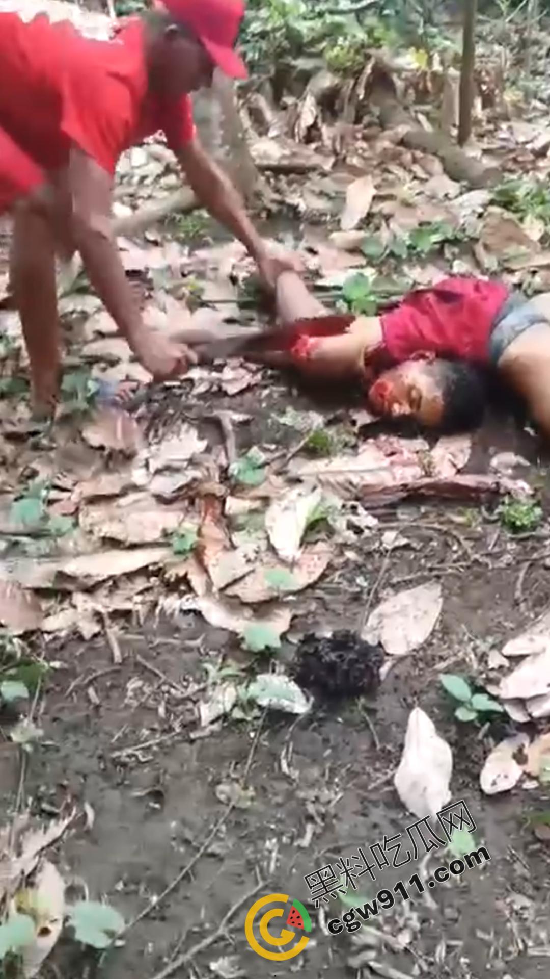 墨西哥毒枭残暴行径:年轻帮派成员遭野外肢解处决,鲜血四溅,画面极度血腥恶心,胆小者勿点