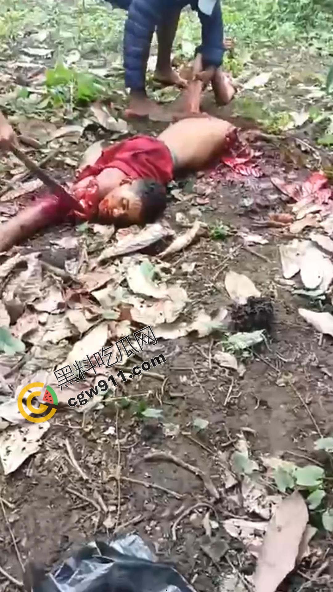 墨西哥毒枭残暴行径:年轻帮派成员遭野外肢解处决,鲜血四溅,画面极度血腥恶心,胆小者勿点