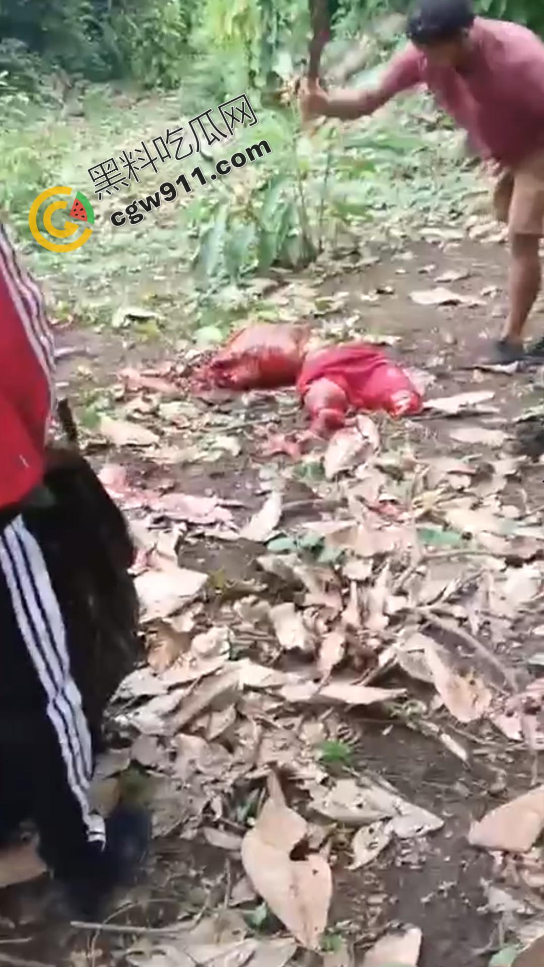 墨西哥毒枭残暴行径:年轻帮派成员遭野外肢解处决,鲜血四溅,画面极度血腥恶心,胆小者勿点