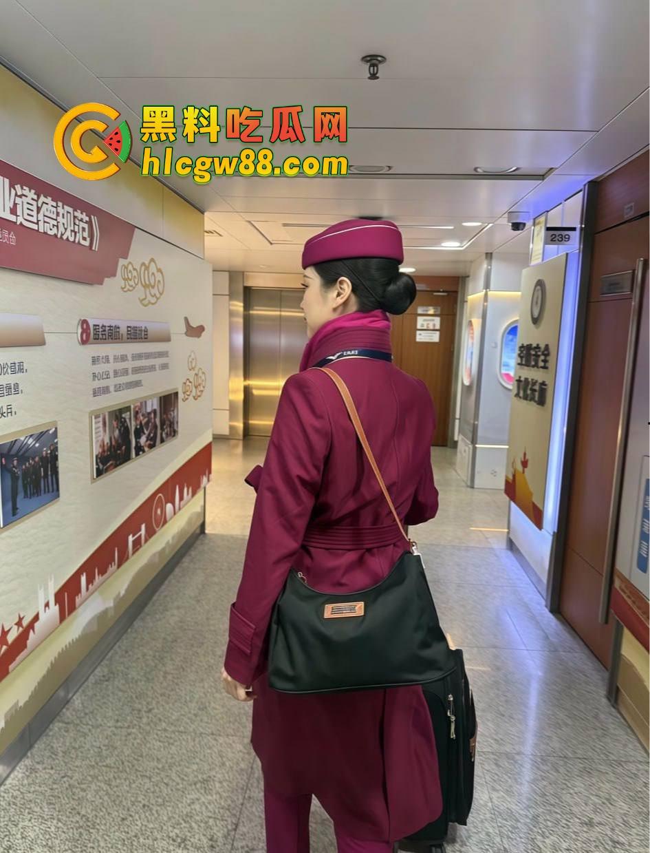 南航空姐『李梅』被大佬调教成空中性奴,飞行前真空服务顾客,航程中厕所抠逼自慰,下机还要穿制服接着干!