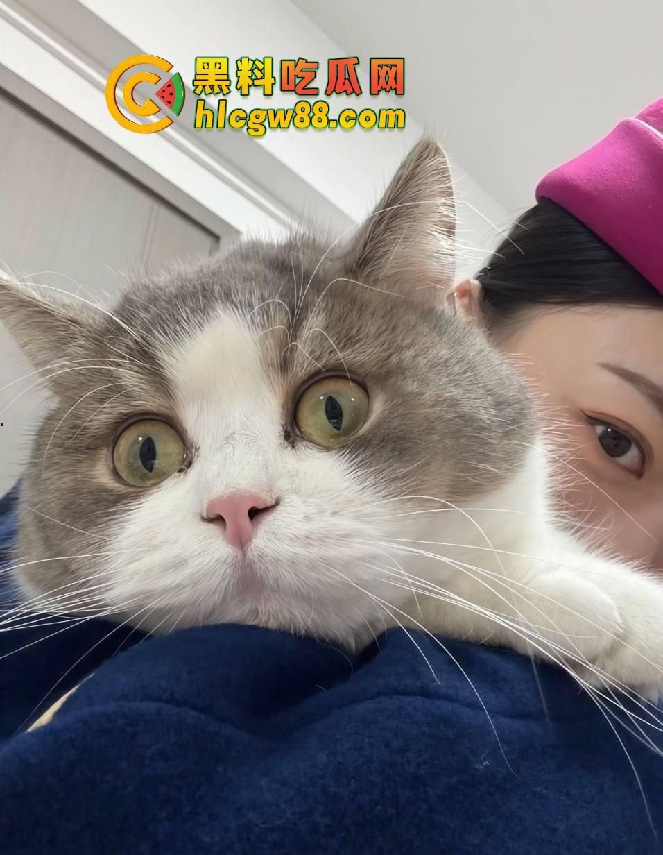 南航空姐『李梅』被大佬调教成空中性奴,飞行前真空服务顾客,航程中厕所抠逼自慰,下机还要穿制服接着干!