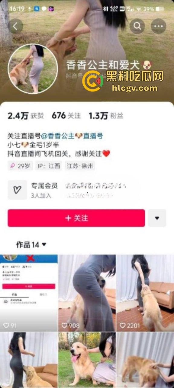 抖音小姐姐【香香公主】给科普兽交注意事项 每天都在和金毛上演人兽配！