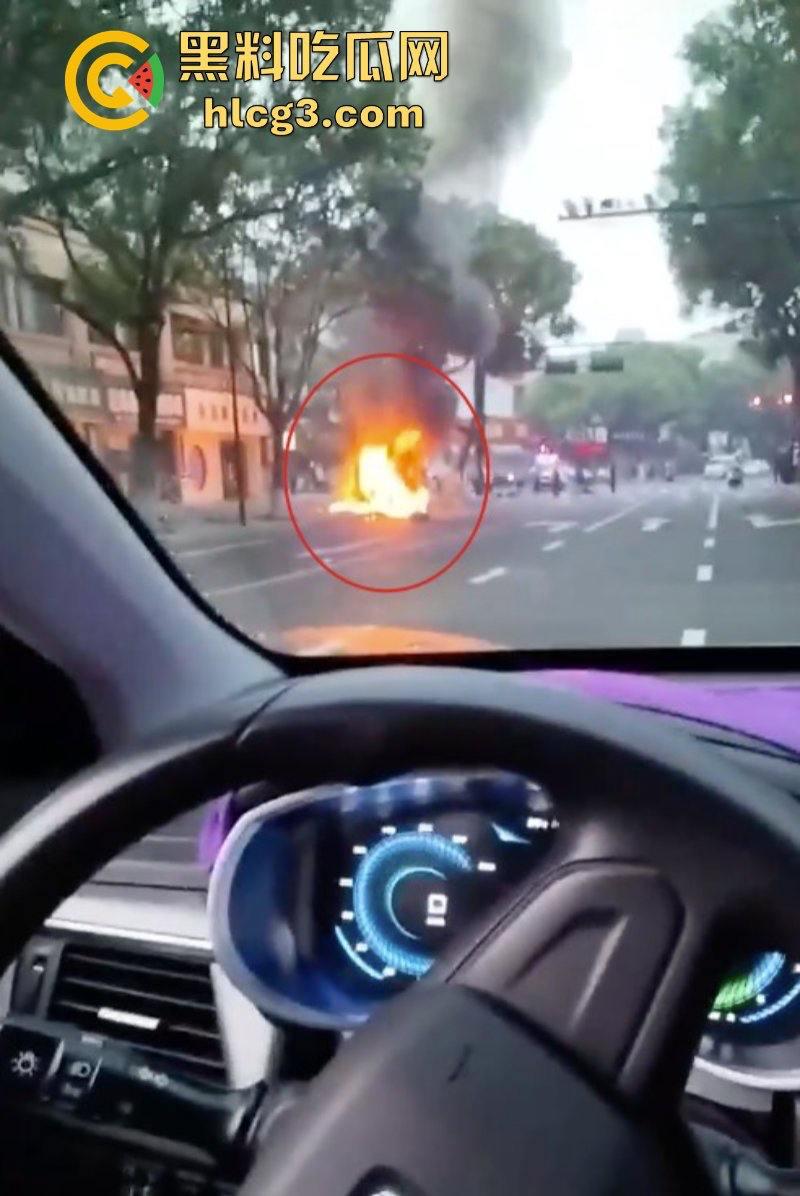 树:我没有动手啊!浙江一辆保时捷撞电动车后撞树起火驾驶人死亡!