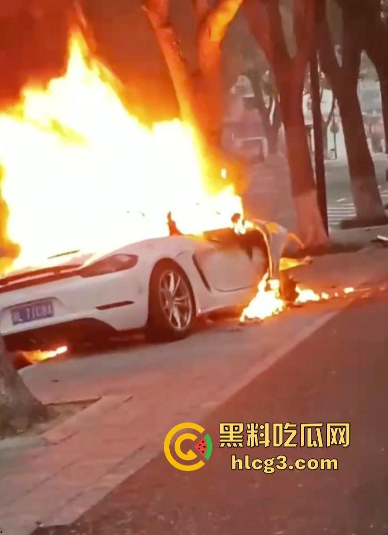 树:我没有动手啊!浙江一辆保时捷撞电动车后撞树起火驾驶人死亡!