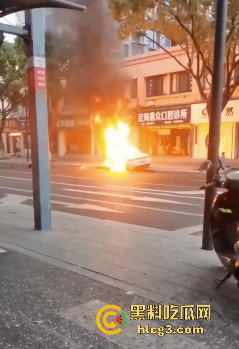 树:我没有动手啊!浙江一辆保时捷撞电动车后撞树起火驾驶人死亡!