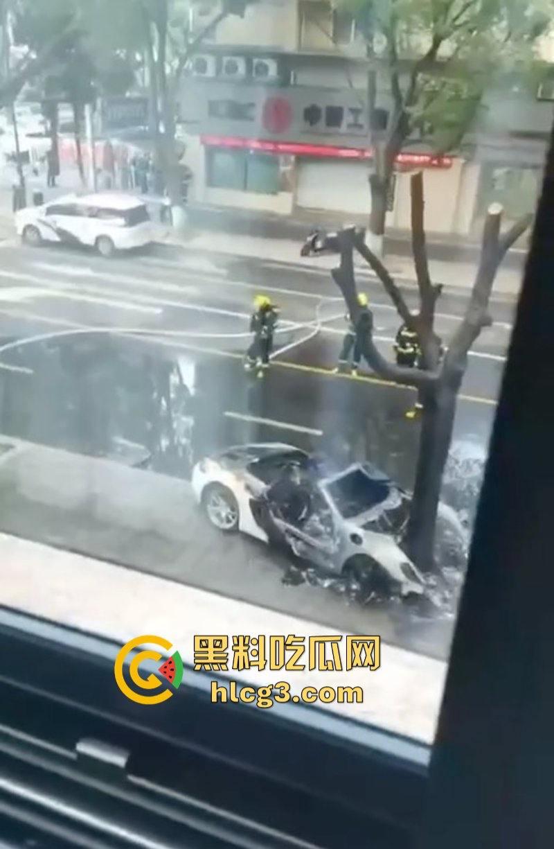 树:我没有动手啊!浙江一辆保时捷撞电动车后撞树起火驾驶人死亡!