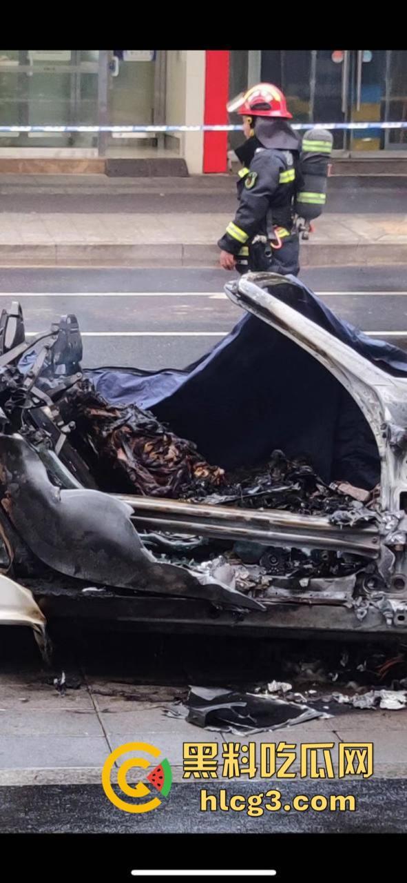 树:我没有动手啊!浙江一辆保时捷撞电动车后撞树起火驾驶人死亡!