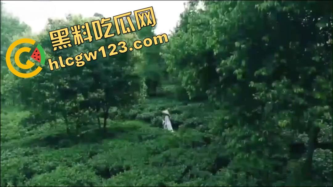 纯正奶茶现采现挤？真奶福建嫩茶打底，鲜得直流奶！那你喝的霸王茶姬，是工业冲泡的制服打工婊！