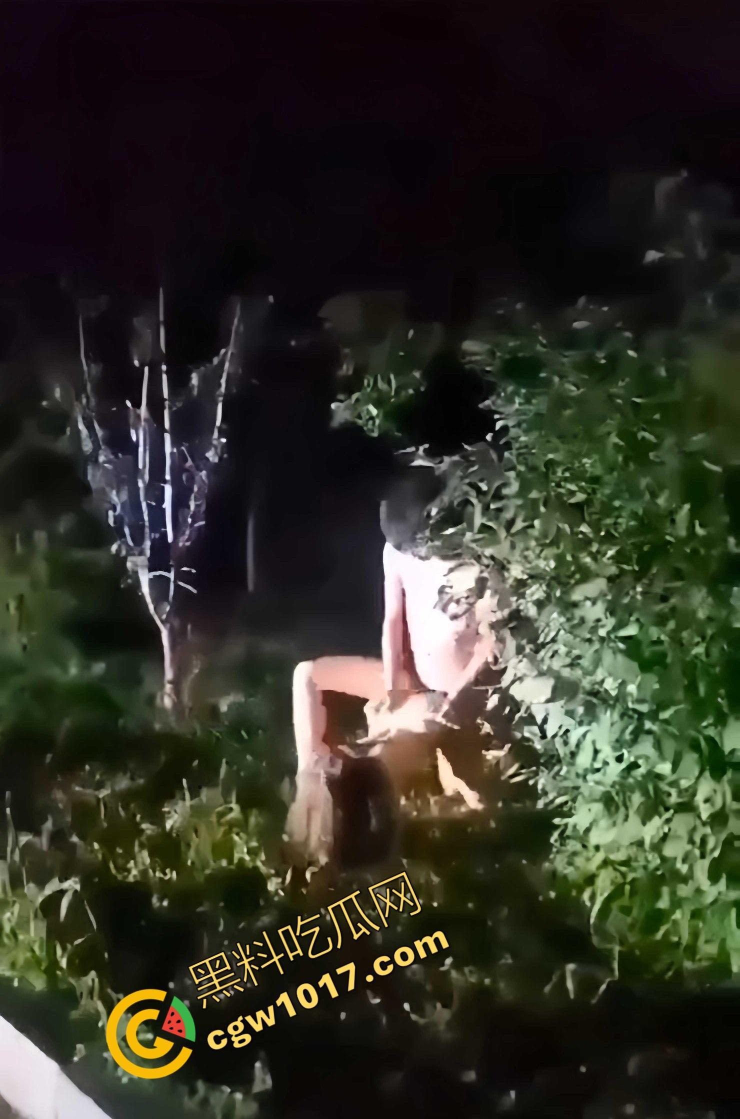 赤裸情侣路灯下野战!小哥疯狂后入,女友淫荡浪叫,惊爆路人眼球,视觉与听觉的双重冲击