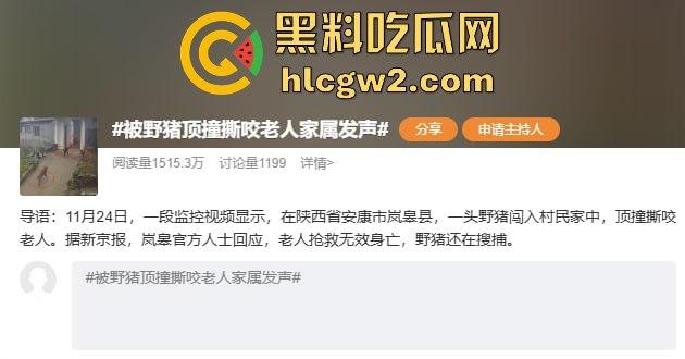陕西安康野猪闯入民宅撕咬老人致死，老人被反复顶撞撕咬惨不忍睹，野猪仍在追捕中！