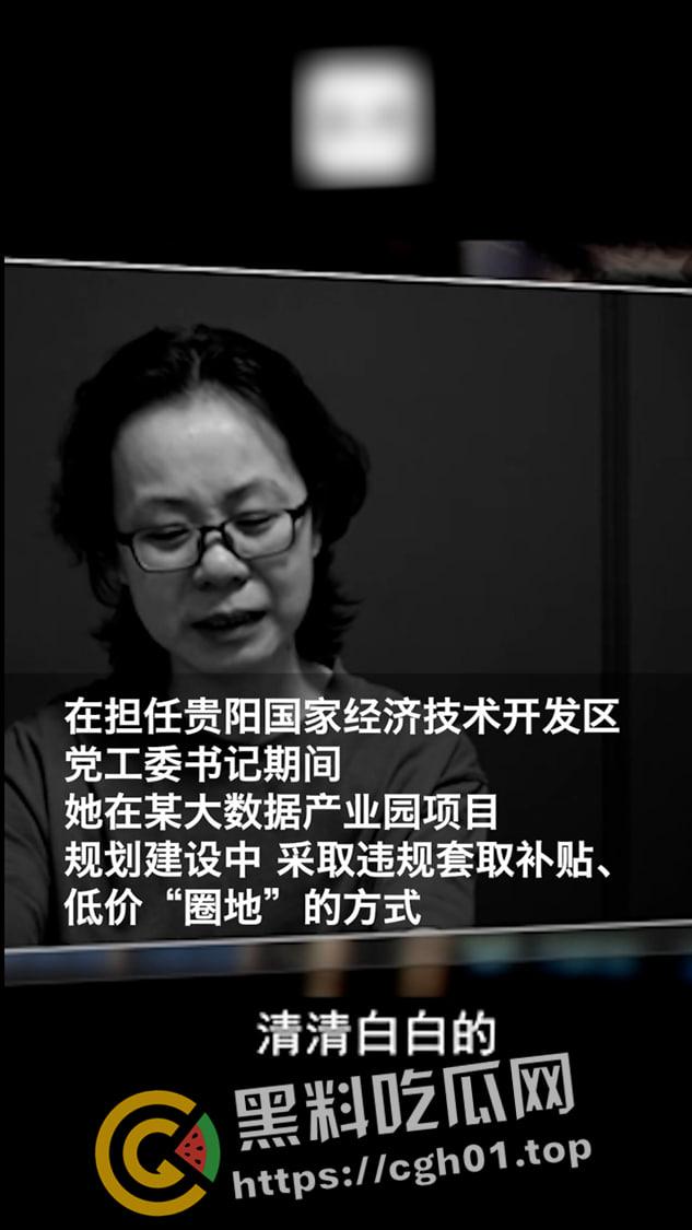 原贵州黔南州长【钟阳】包养五十多名男妃 性生活一次需要十几名男人满足 女高官淫趴视频被流出