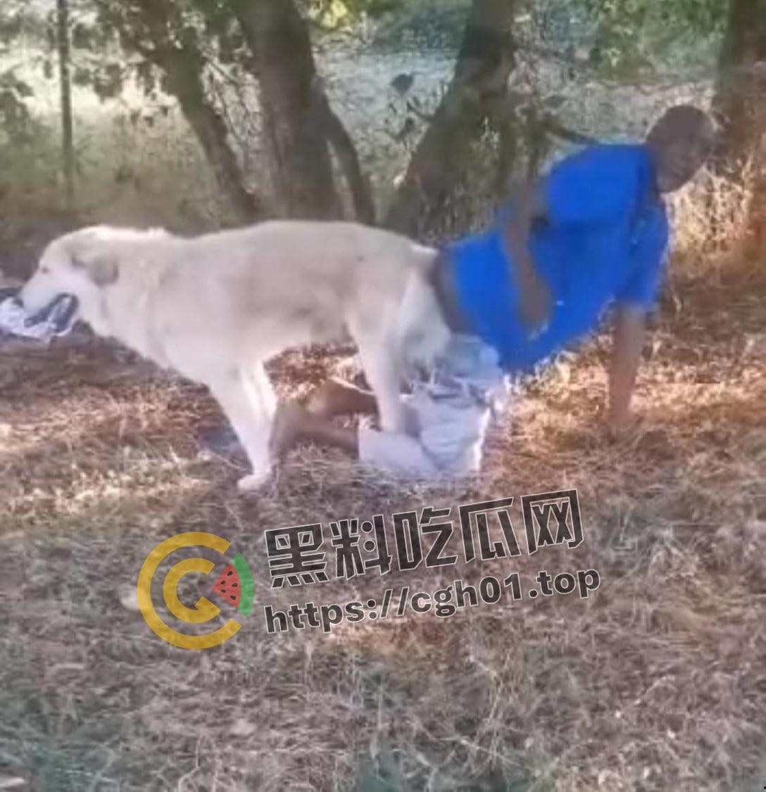 老尼哥被狗草了！这位黑大爷口味属实有点重啊