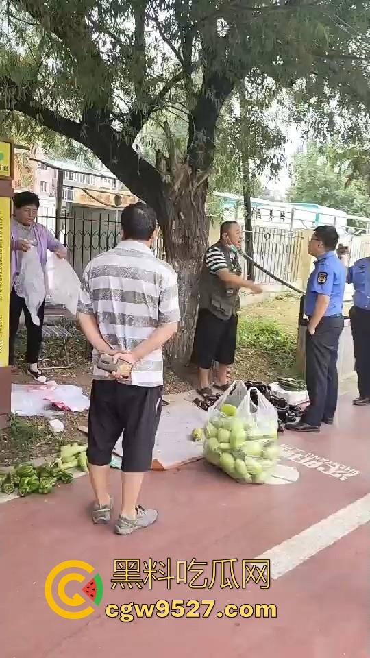 黑龙江城管不讲道理执法，跟买菜小摊贩说两句就上头，牛逼到不行，给个书记他做那不得起飞了！