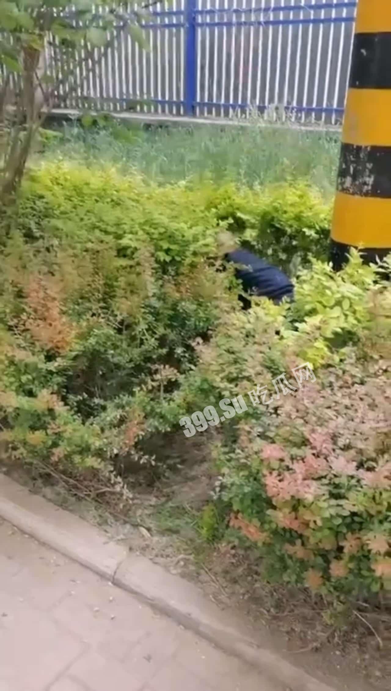 卧槽，光天化日之下还有这种事？！强奸女性