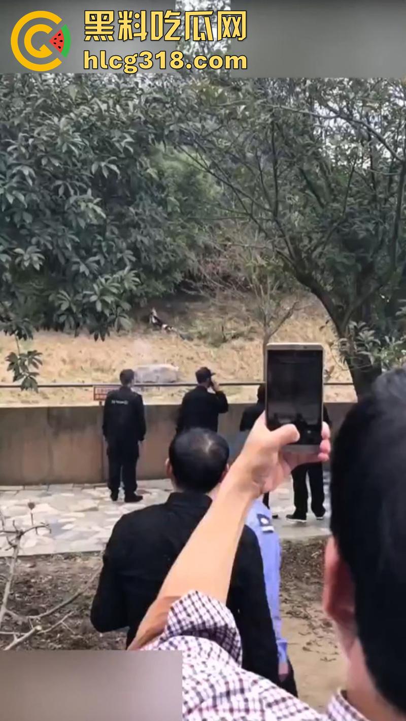 聪明人费尽心思，不如蠢人灵机一动！浙江男子翻越围墙撸老虎，被老虎当场咬死，该老虎已被射杀！