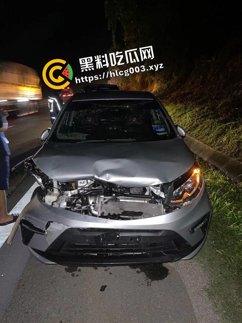 武松在世 高速路上撞死老虎 这下能吹一辈子了 行车监控视频流出