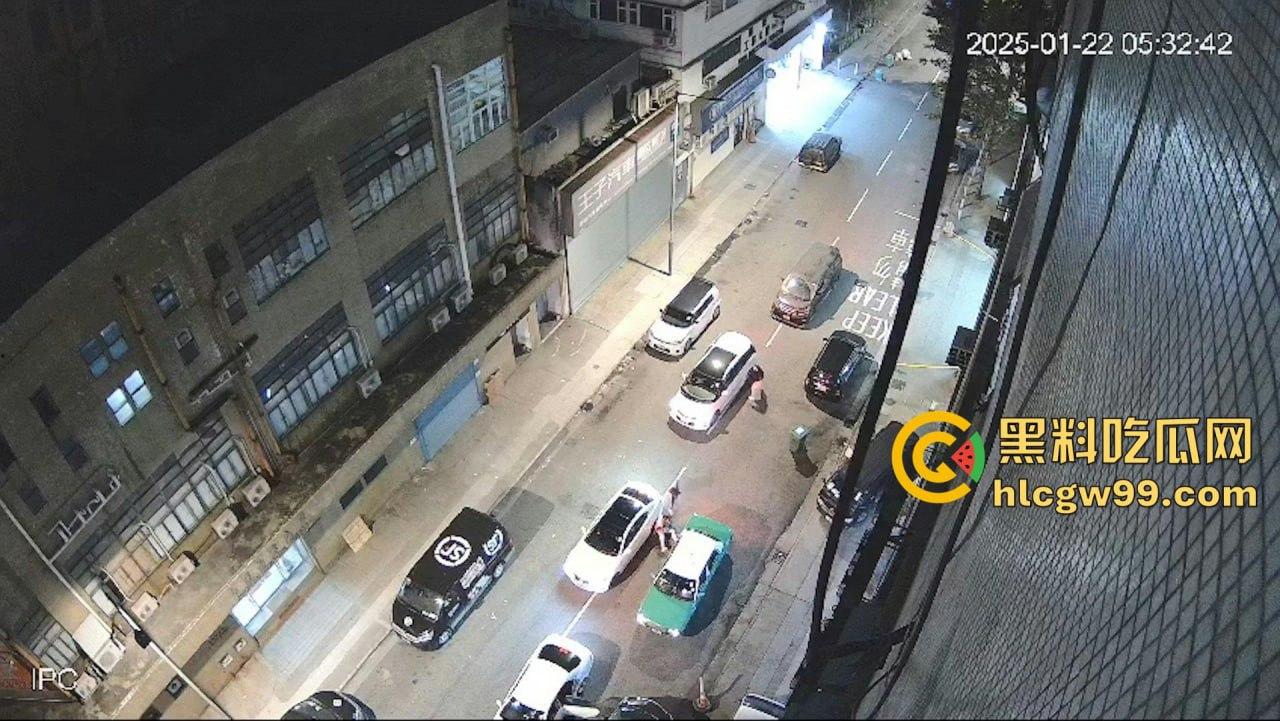 现实黑社会香港选坐馆前的争斗，【胜和】骨干被【新义安】众刀手驾车包抄，乱刀追砍搏杀至死