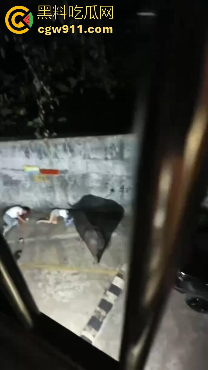 广西藤县河西疯牛伤人事件，伤者正在治疗疯牛仍在逃，警方联合多部门在大冲肚区域追捕！