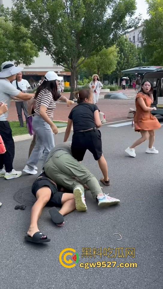 北京土豪大哥假期出游，偶遇路霸相逼停车怒骂，也不惯着他，从言语攻击到两边人马互殴，直至流血才停下！