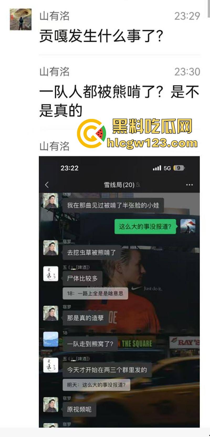 西藏贡嘎藏马熊屠杀人类，帅哥随旅行团西藏游，一行人挖虫草误入熊窝，头骨被咬碎无一生还！