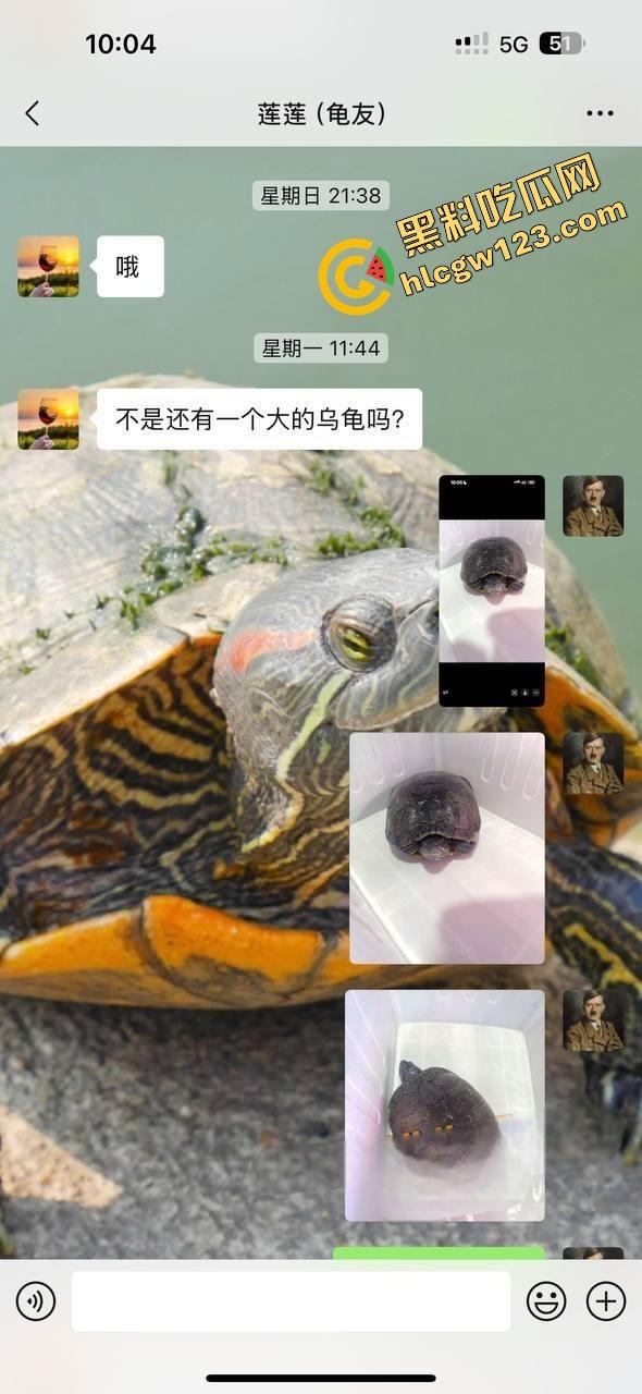 小区楼下遛乌龟竟钓到邻居骚少妇39岁『张珊珊』口活惊艳，屁股一摇榨汁三升，送龟送到床上操！