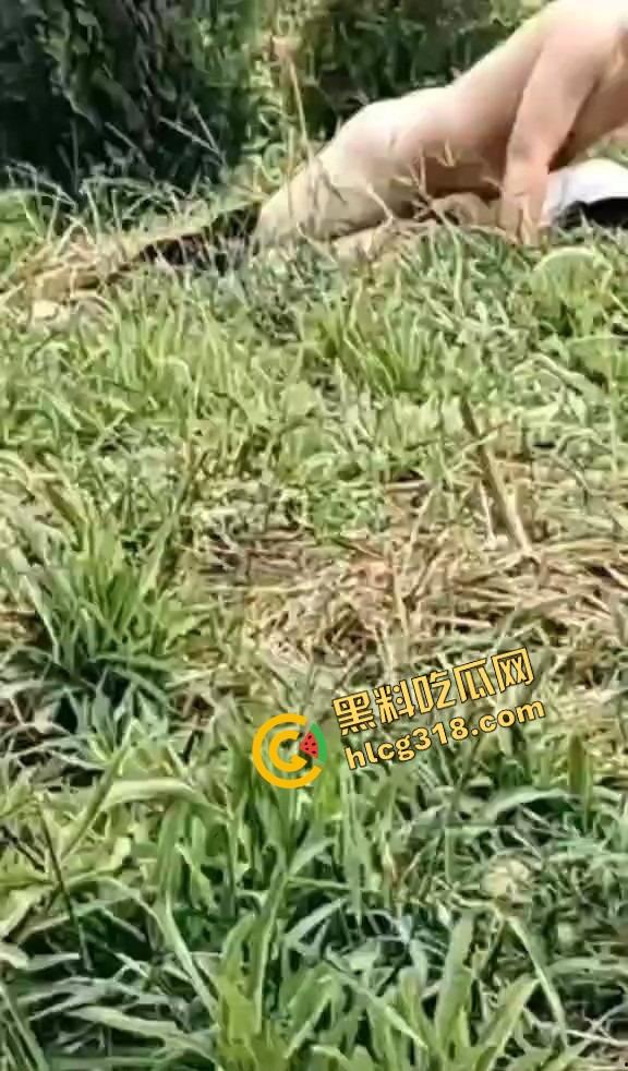 黄毛精神小伙带着骚货小妹户外野战被偷拍，猪头焖子都有逼能操，而你我的朋友你在干嘛？